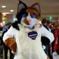 Biggest Little Fur Con 2026 Day 1