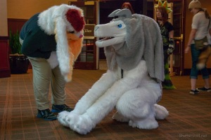 Furlandia 2015