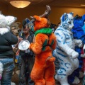 Furlandia 2015