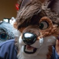 Furlandia 2015