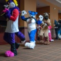 Furlandia 2015