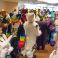 Furlandia 2015