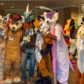 Furlandia 2015