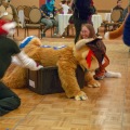 Furlandia 2015