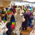 Furlandia 2015