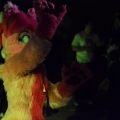 Furlandia 2016