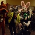 Furlandia 2016