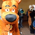 Furlandia 2016