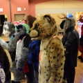 Furlandia 2016