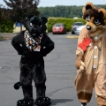 Furlandia 2016