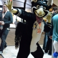 Furlandia 2016