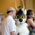 Furlandia 2016