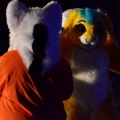 Furlandia 2016