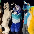 Furlandia 2016