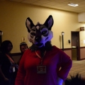 Furlandia 2016