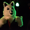 Furlandia 2016