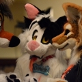 Furlandia 2016