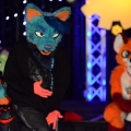 Furlandia 2016