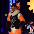 Furlandia 2016