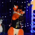 Furlandia 2016