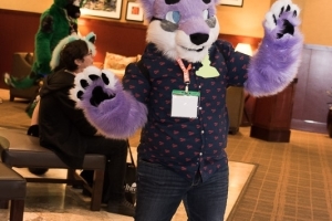 Furlandia 2017
