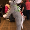 Furlandia 2017