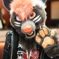 Furlandia 2017