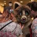 Furlandia 2017