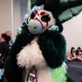 Furlandia 2026