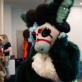 Furlandia 2026