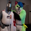 Furlandia 2026