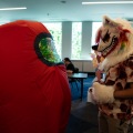 Furlandia 2026
