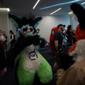 Furlandia 2026