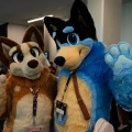 Furlandia 2026