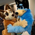Furlandia 2026