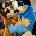 Furlandia 2026