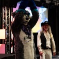 Furlandia 2026