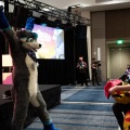 Furlandia 2026