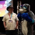 Furlandia 2026