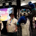 Furlandia 2026