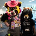Furlandia 2026