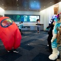 Furlandia 2026