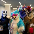 Furlandia 2026