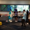 Furlandia 2026