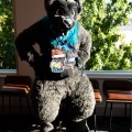 Furlandia 2026