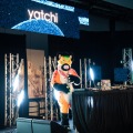 Furlandia 2026