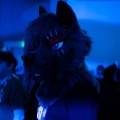 Furlandia 2026