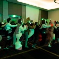 Furlandia 2026