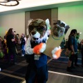 Furlandia 2026
