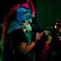 Furlandia 2026